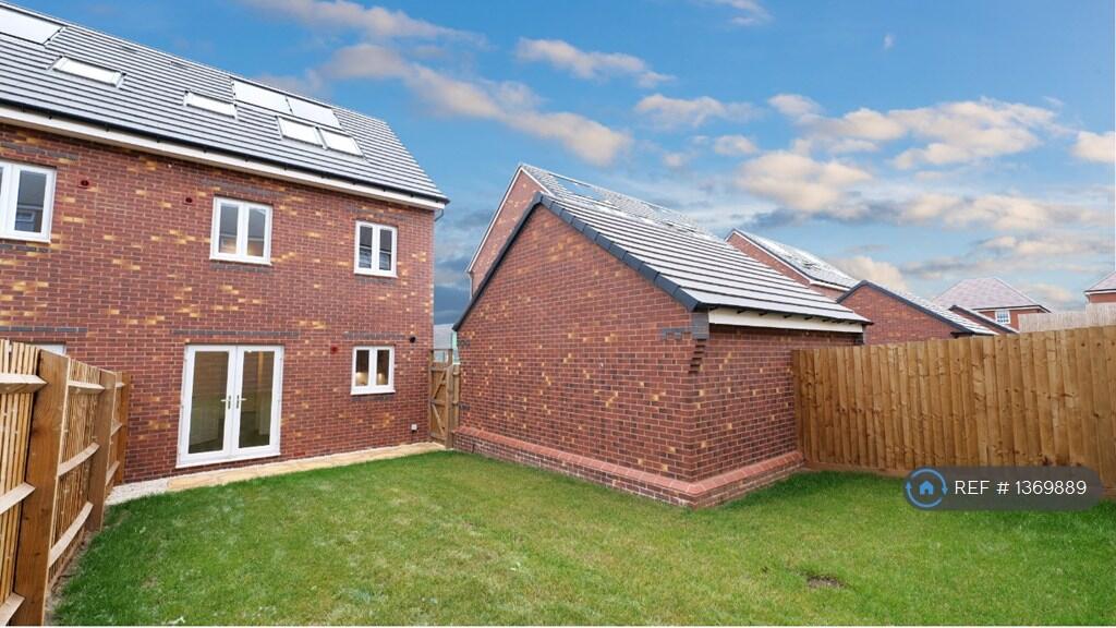 Back Garden