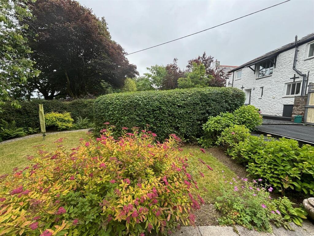 garden.jpg