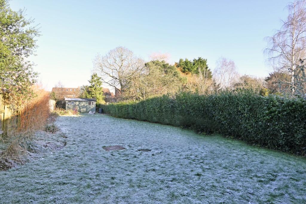 Picture 16