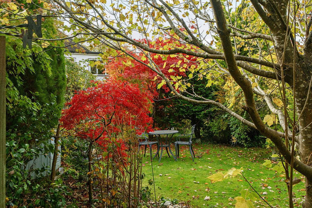 1374033-8-69036f6...