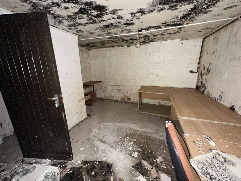 IMG 3316 T202508222101.jpeg