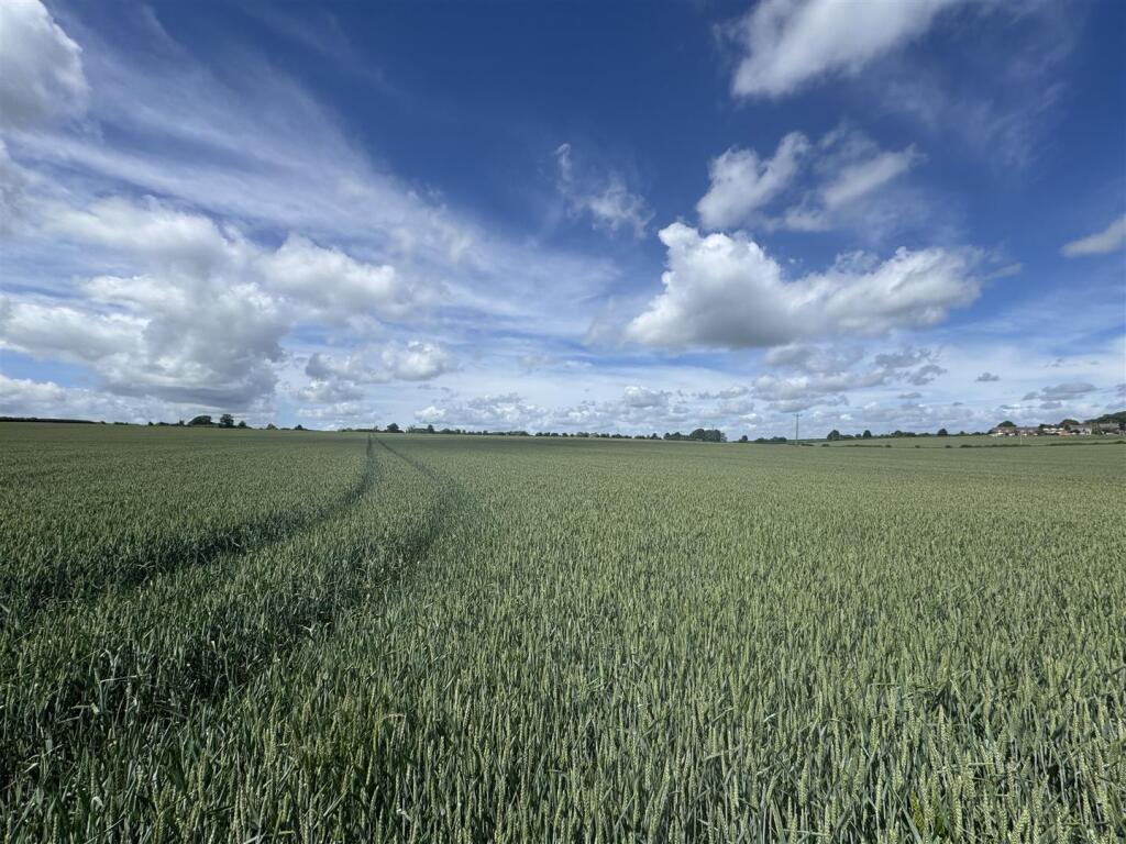 Land at Hinton Martell