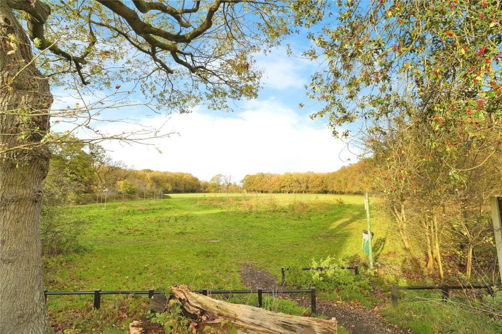 Grassland