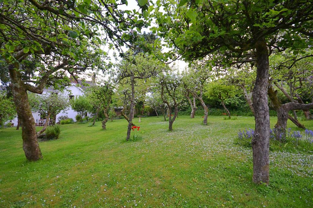 DSC_0559.JPG