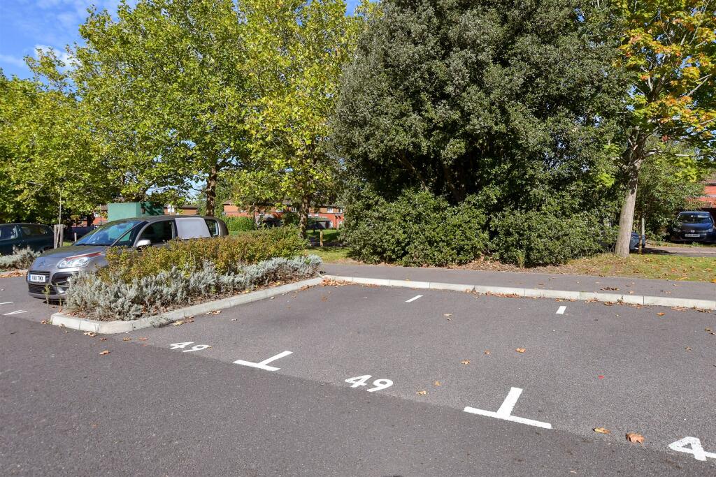 Driveway/Parking