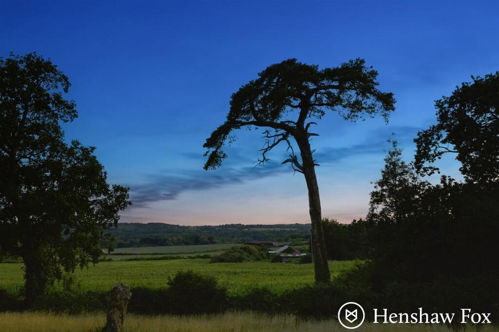 Ph32_6123215 - Copy.jpg