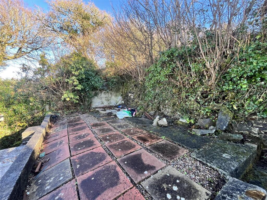 Top garden.JPG