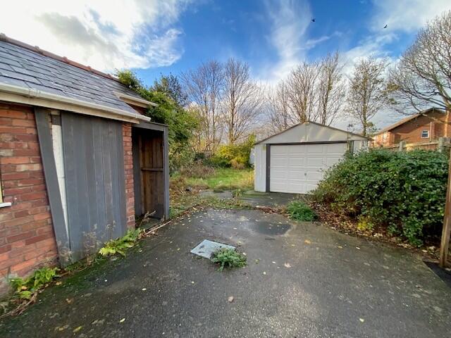 Outsie T202511181443.jpg