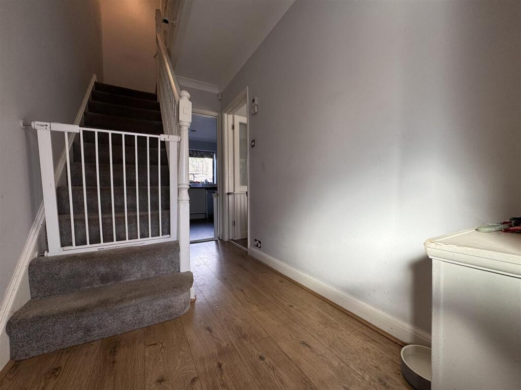 IMG_1700 (Large).JPG