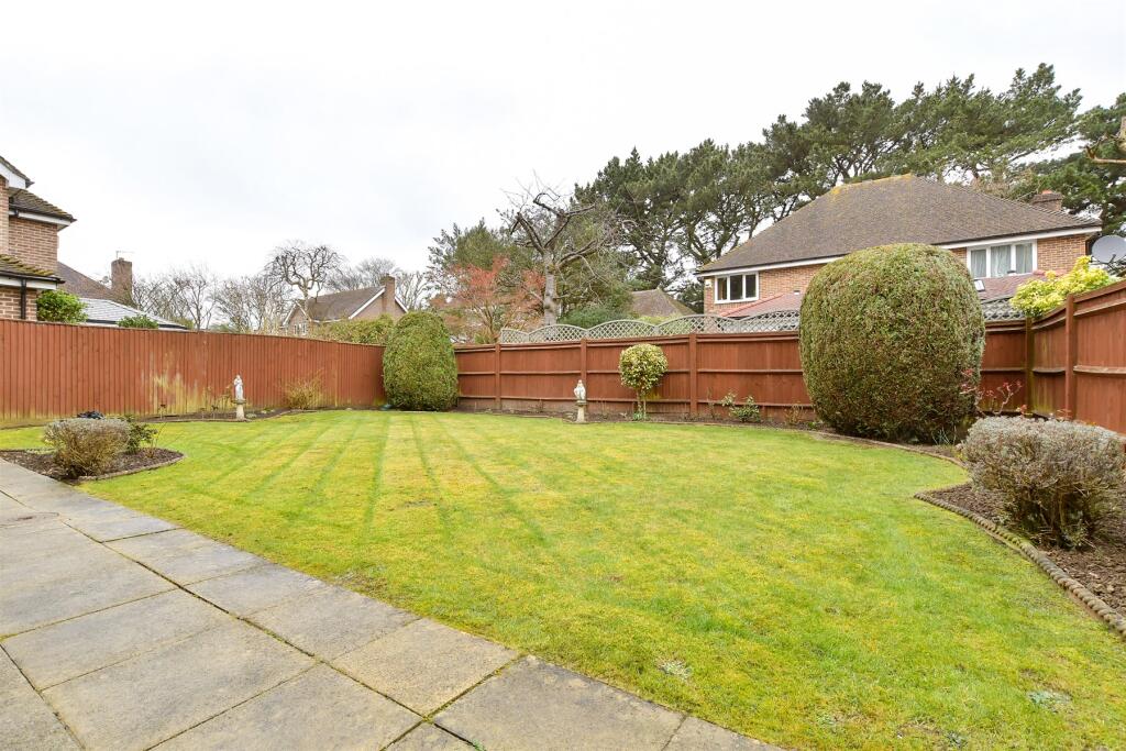 Rear Garden (Original)