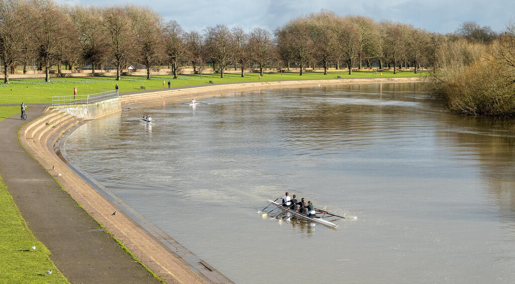 Chateau Mews Prox...