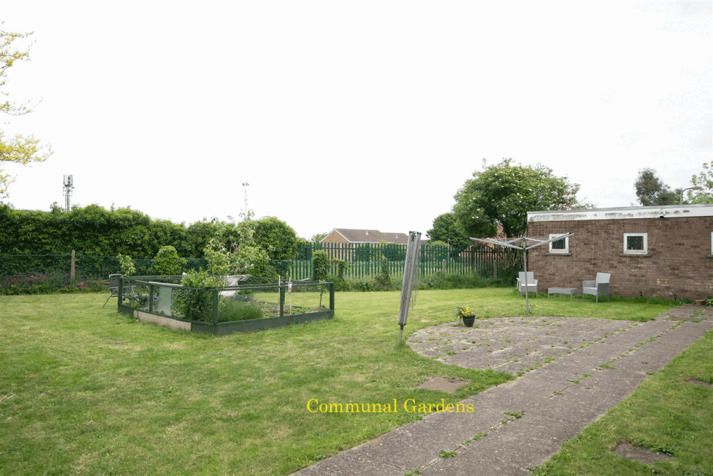 DSC_7819.gif
