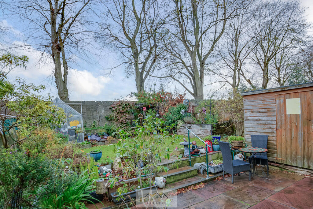 Back garden 1.2