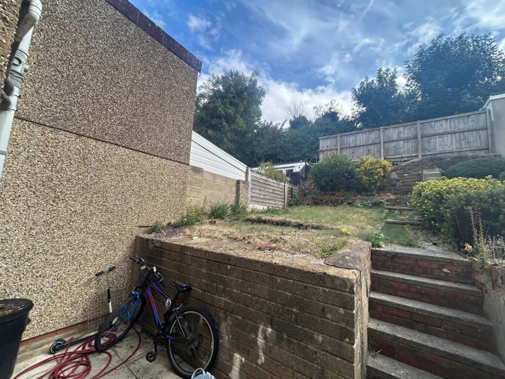 Back Garden