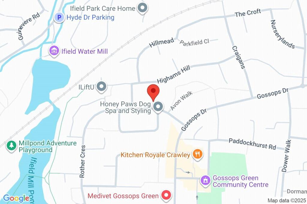 Google Maps Image