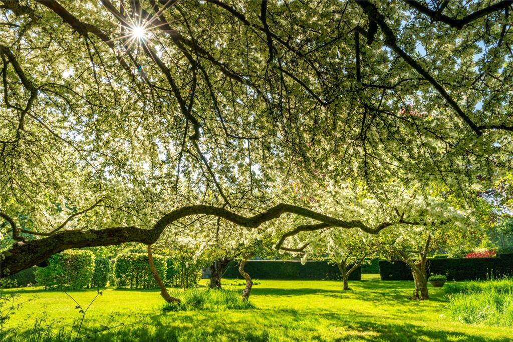 Grounds