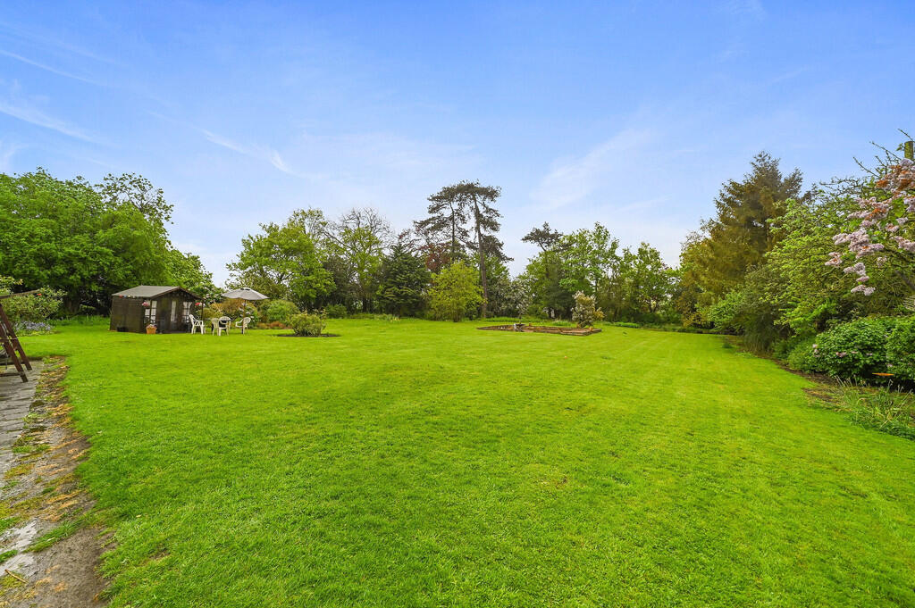 PT-DB(WP)-TheRose...