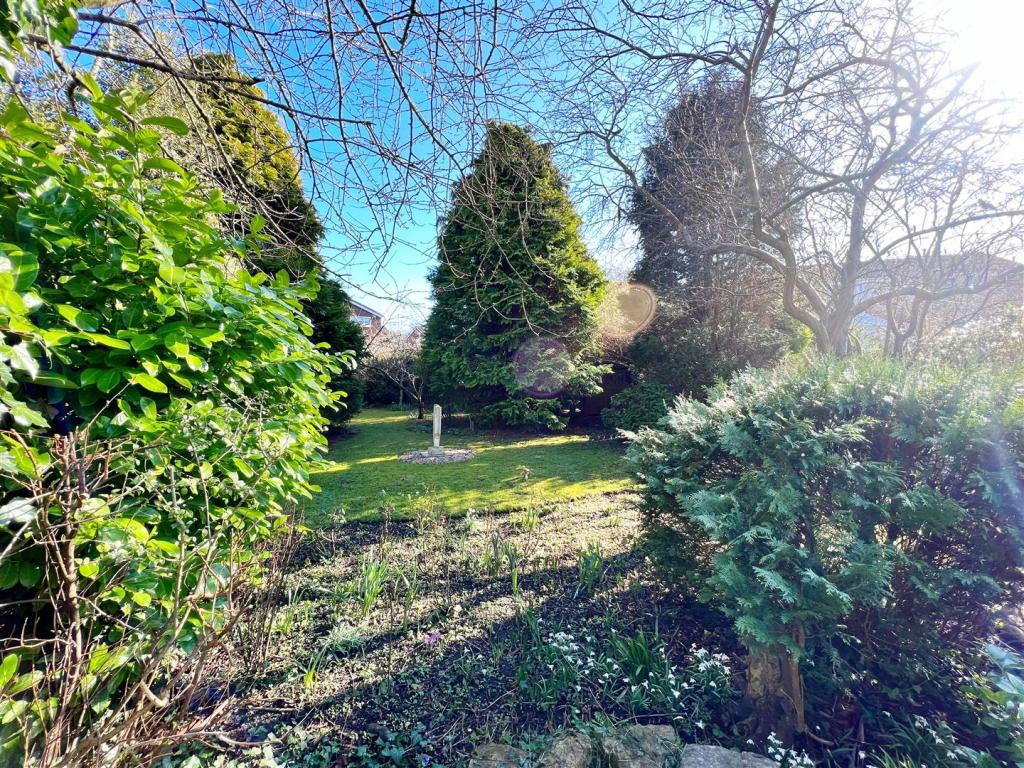 Garden 7.jpg