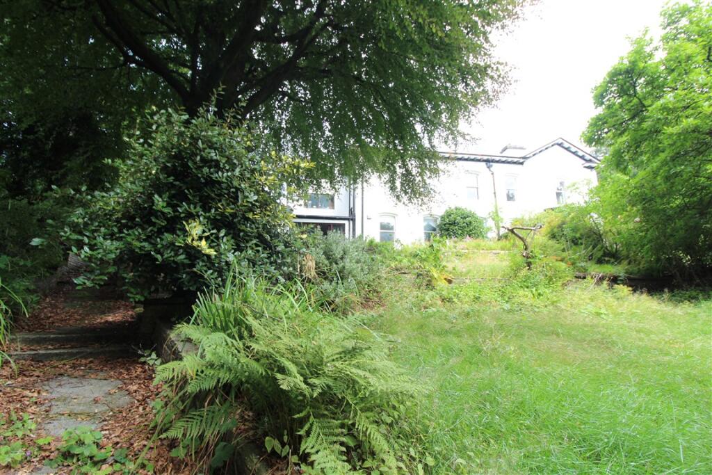 Garden 1 T202508221635.jpg