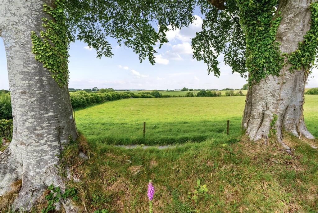 1304393-1-6839ce7a7e2dd Elevated (11).jpg