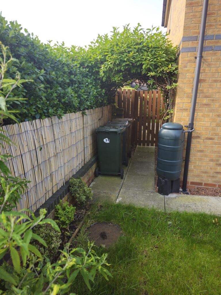 A charming garden area featuring lush green gra...