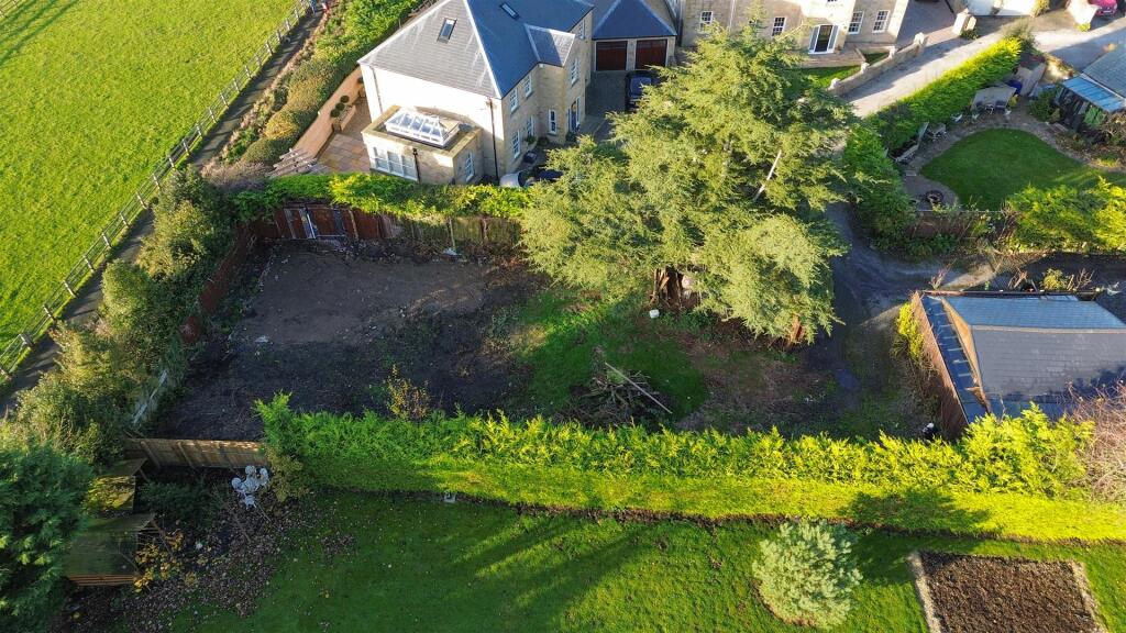 DJI_0127.jpg