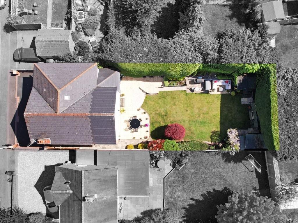 Birds eye.jpg