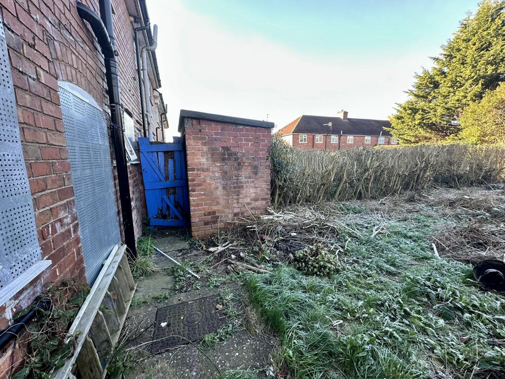 IMG 4209 T202511291136.jpeg