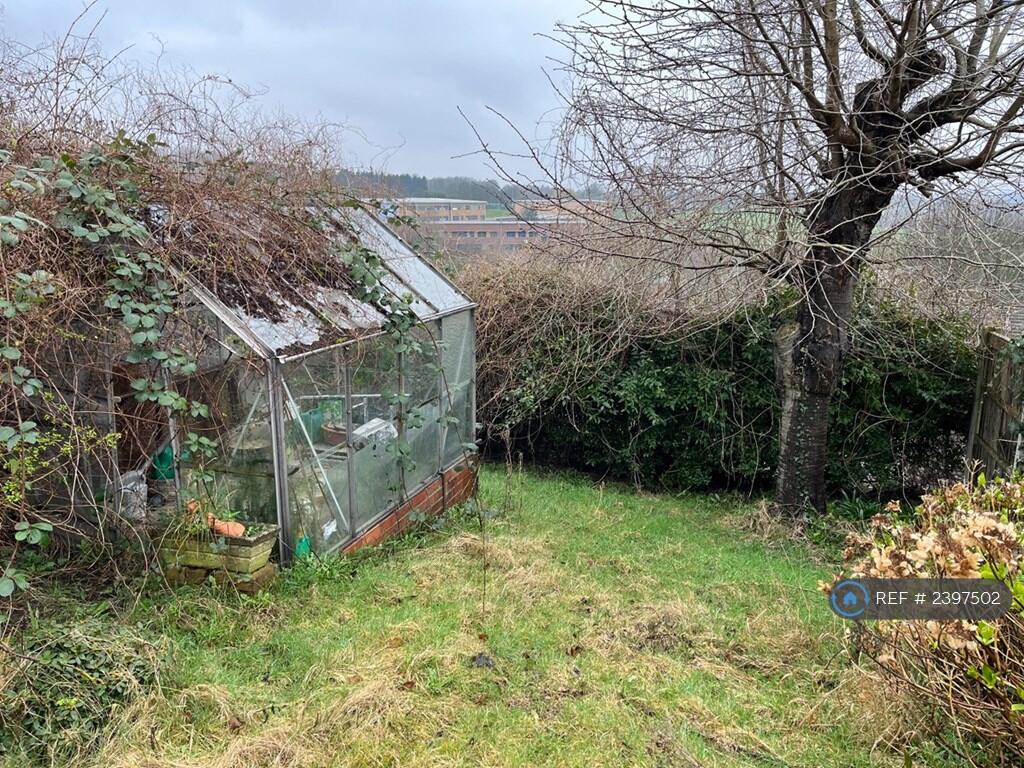 Back Garden 3