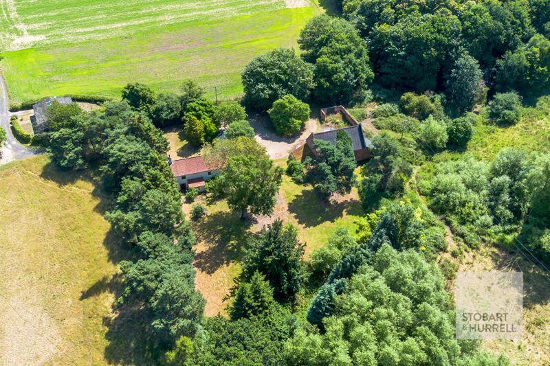 From Above