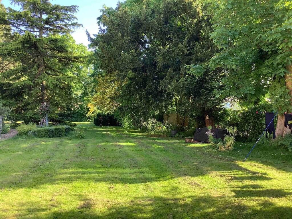 Gardens (Summer 2024)