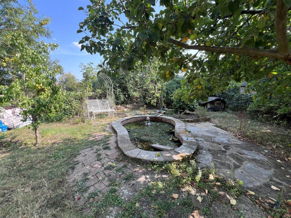 Garden.jpg