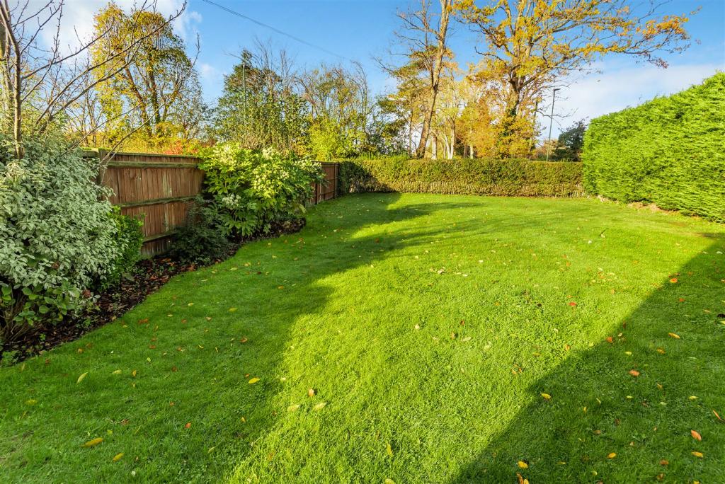 rear garden.jpg