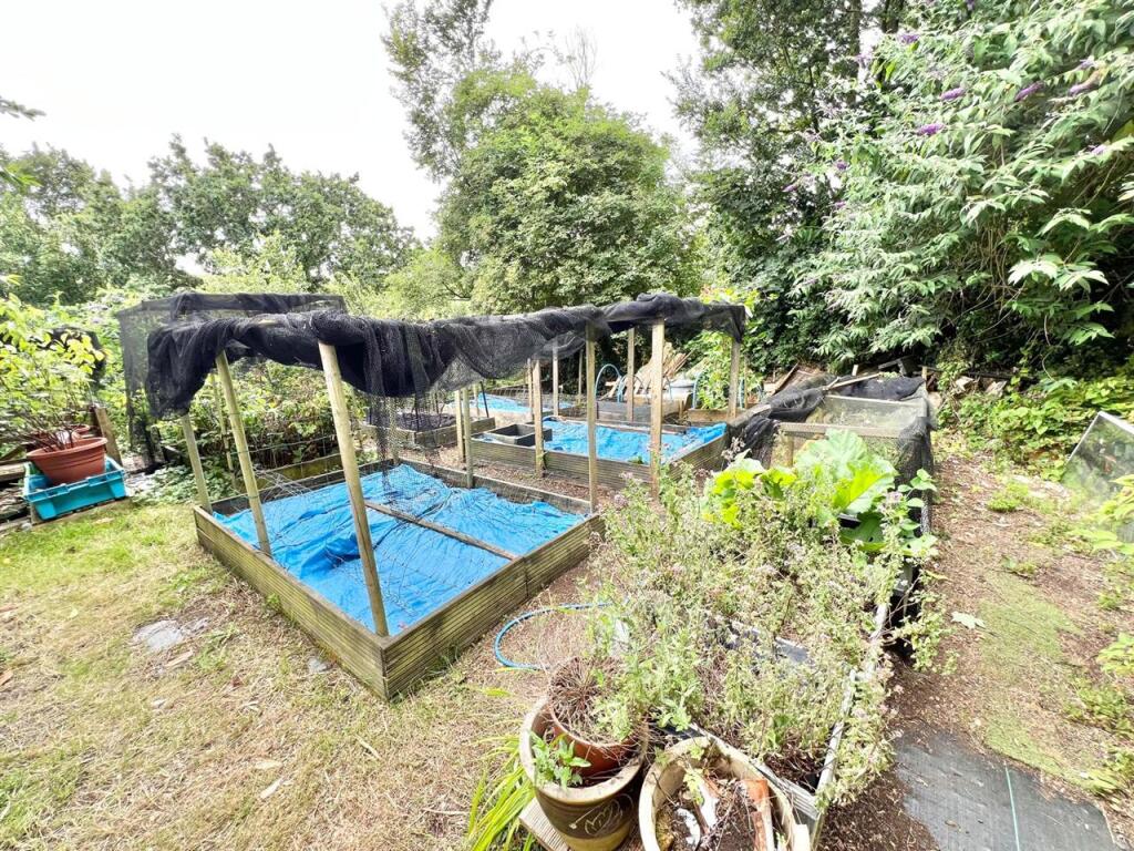 Vegetable/ Produce