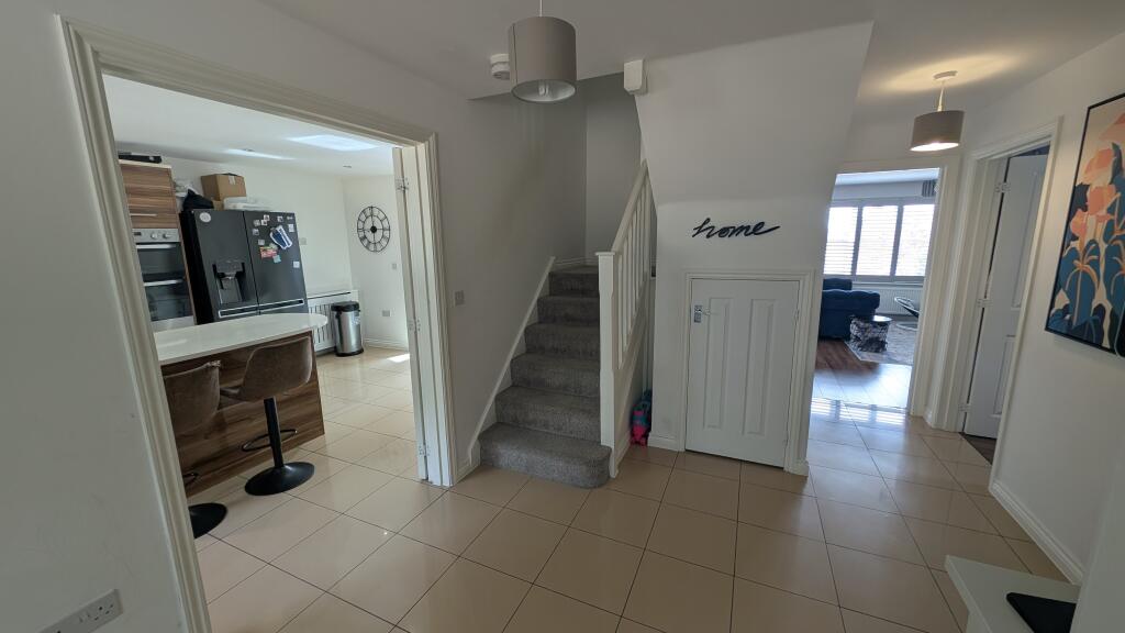 PXL_20250714_1116106