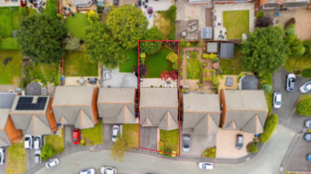 Untitled (5200 x 3900 px) (5200 x 3450 px) (6000 x