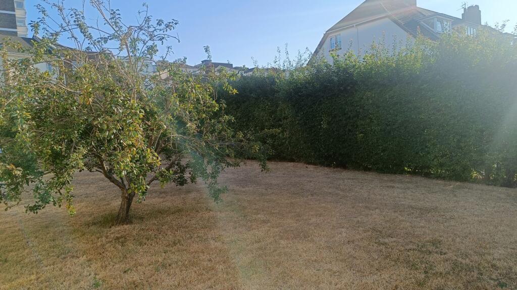 Communal Lawn