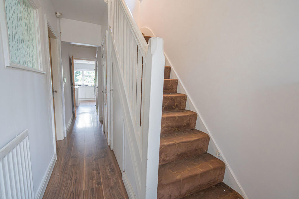 20250709-DSC05432...