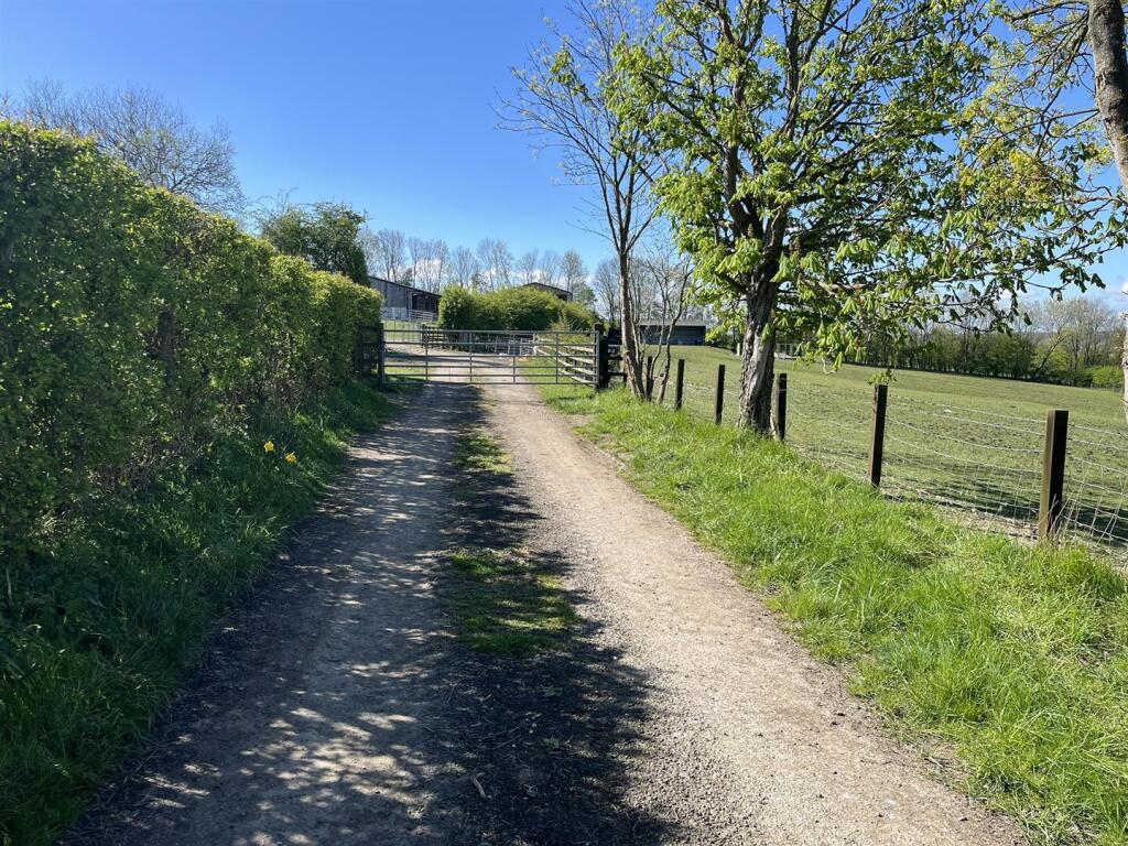 IMG_6562.JPEG