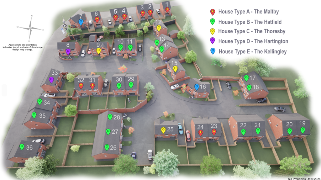 Site Layout
