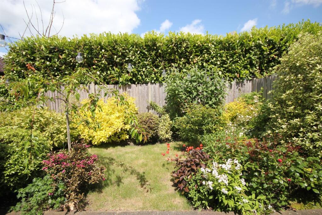 new garden 4.jpg