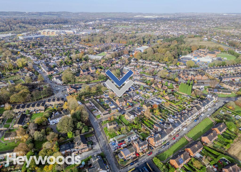 20241112-DJI_0130-Enhanced-SR - Copy