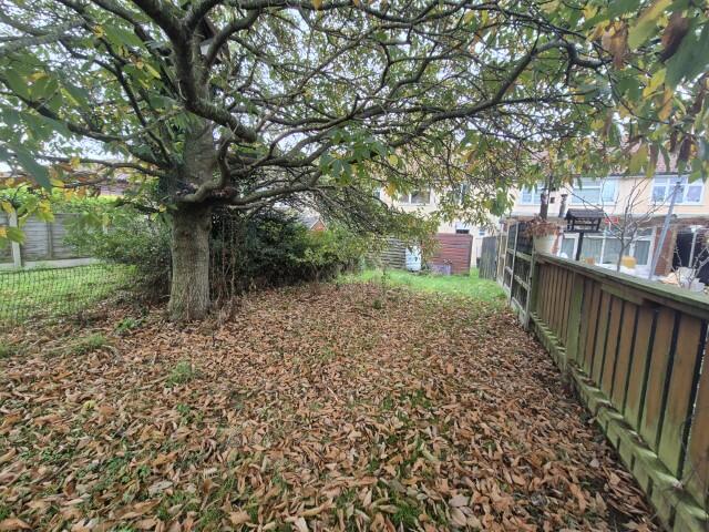 20241029 132343 (Small) T202411041127.jpg