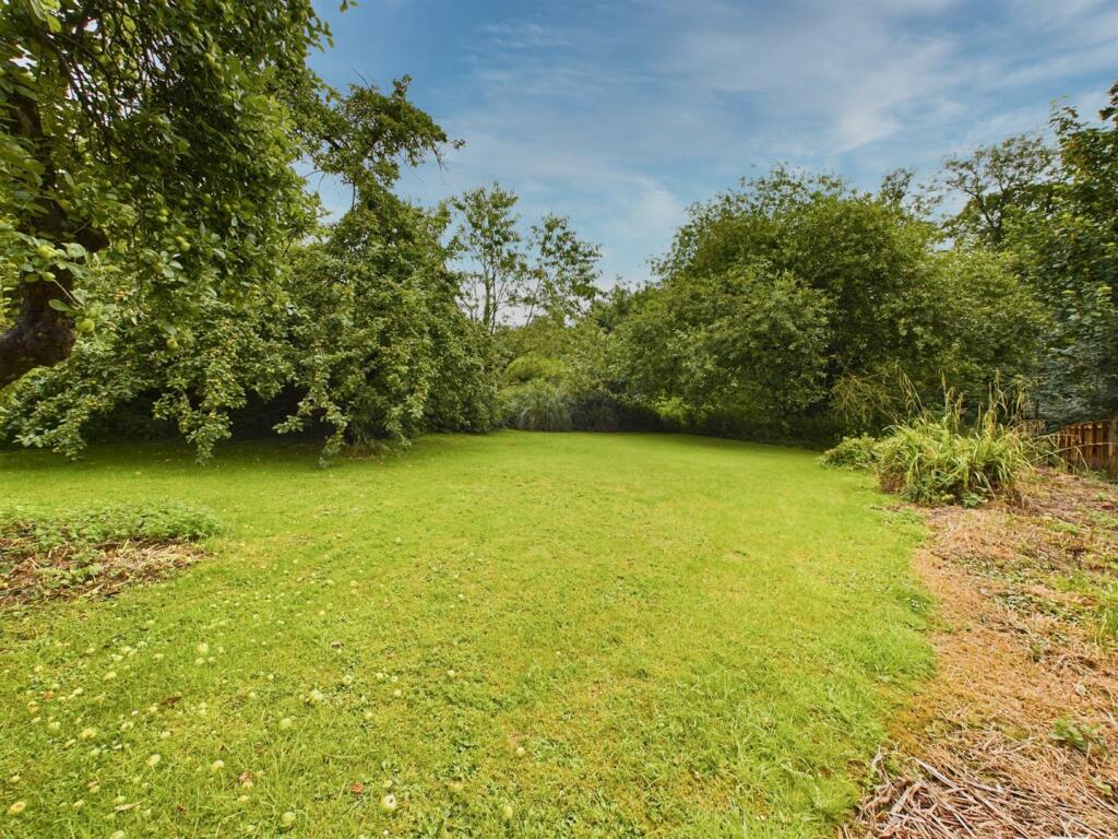 Rear Gardens