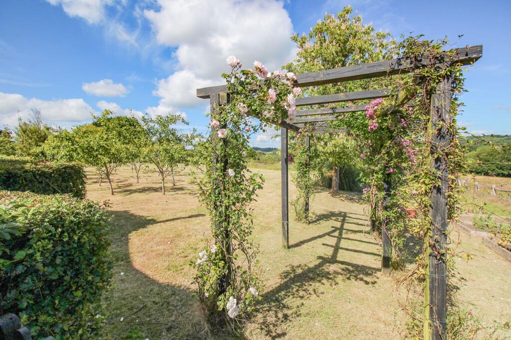 garden