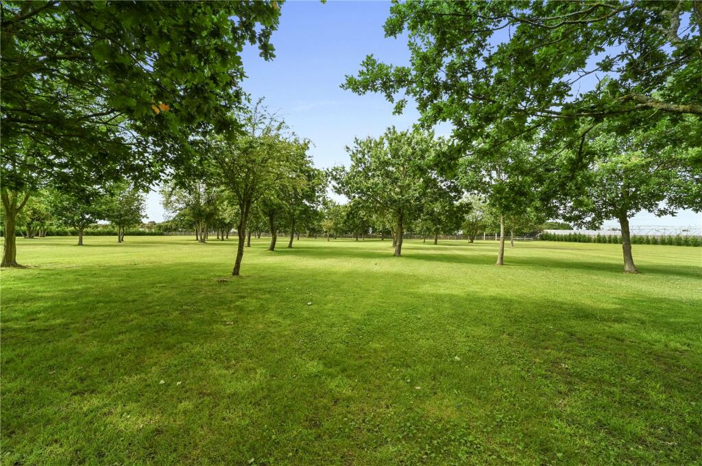 Grounds