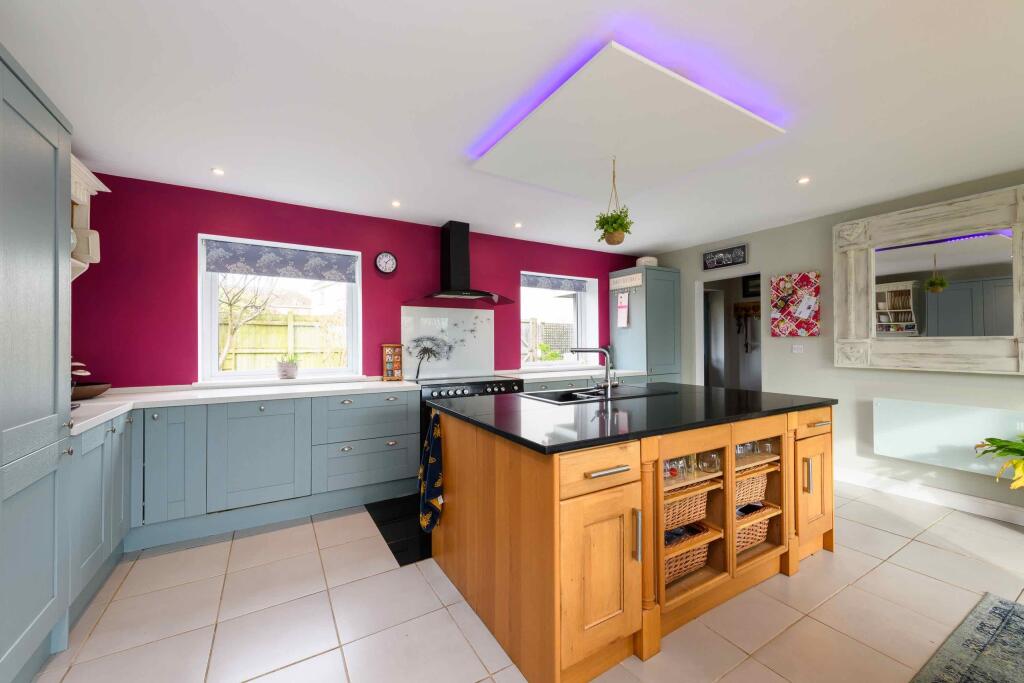 TEK HiRes 250205 052.jpeg