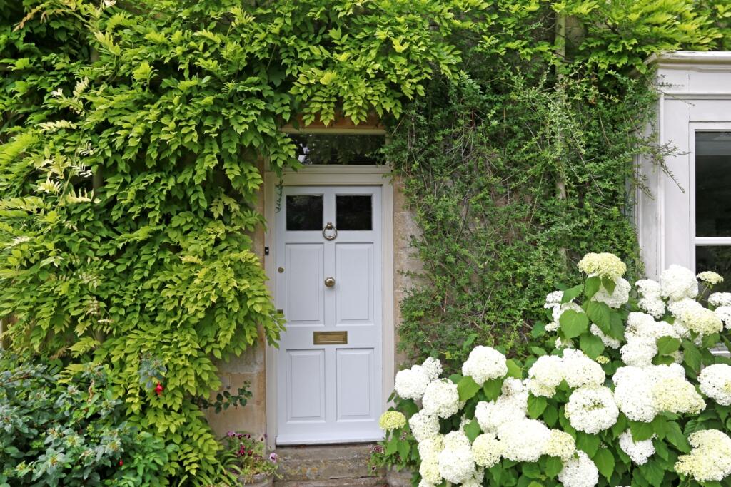 The Firs fpz17161...