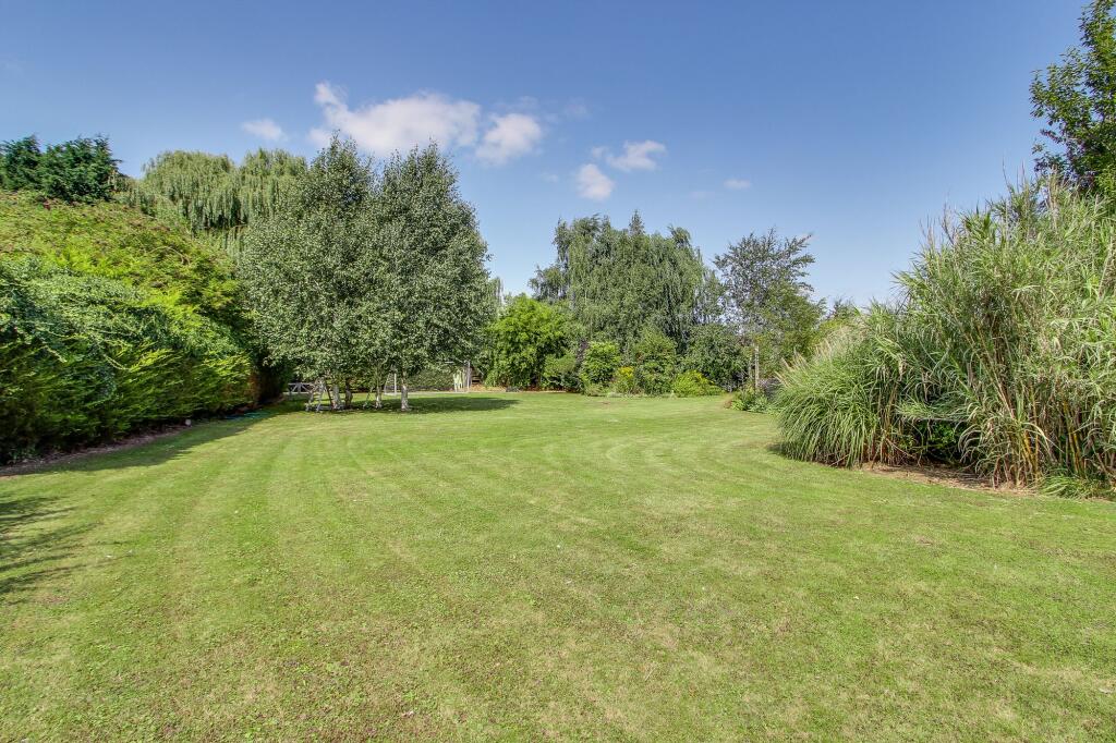 Orchard &amp; Open Grassed Area