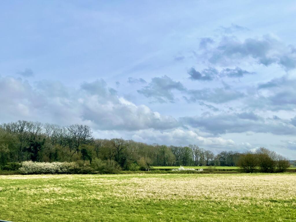 View to south